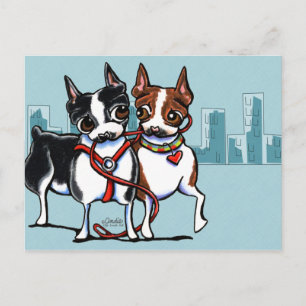 Boston Terriers Leaschade Vykort