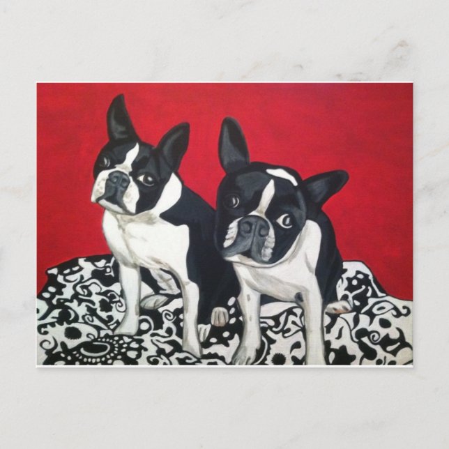 Boston Terriers Vykort (Framsida)