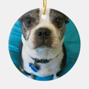 Boston Terriersitta på en säng Julgransprydnad Keramik