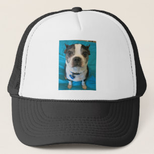 Boston Terriersitta på en säng Truckerkeps