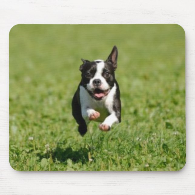 Boston Terrierspring Mousepad Musmatta (Framsidan)