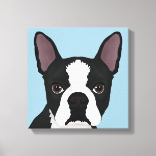 boston terriertecknad canvastryck