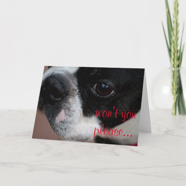 Boston terriervalentin helgkort (Framsida)