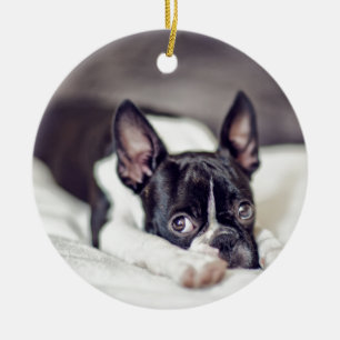 Boston Terriervalp Julgransprydnad Keramik