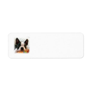 Boston Terriervalp Returadress Etikett