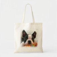 Boston Terriervalp