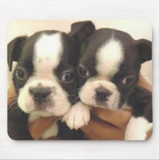 Boston valper Mousepad Musmatta