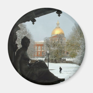 Boston vanligt magnet