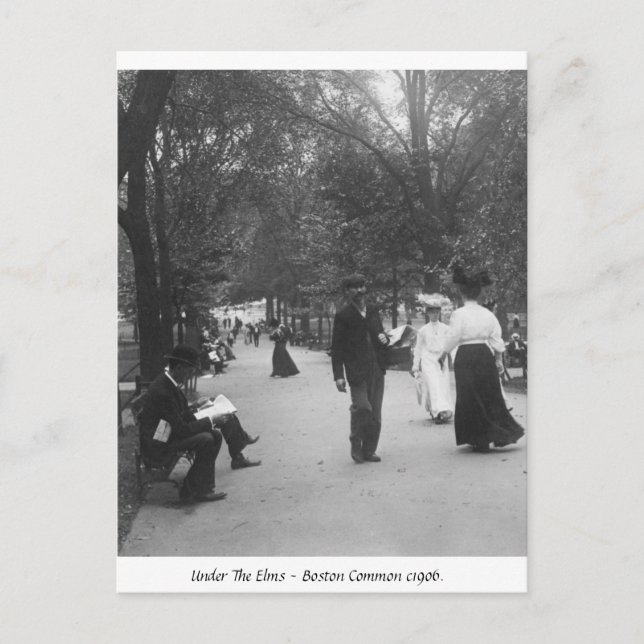 Boston vanligt, vintage Amerika 1906 Vykort (Framsida)