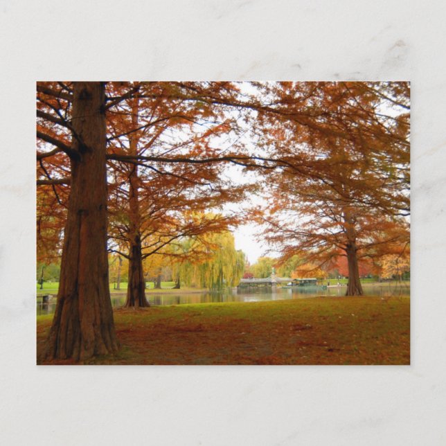 Boston Vykort (Framsida)