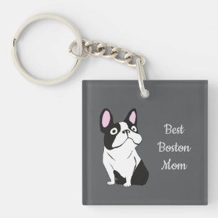 Bostonterrier