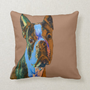 Bostonterrier Kudde