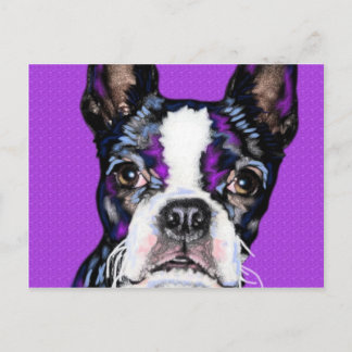 BostonTerrier Vykort