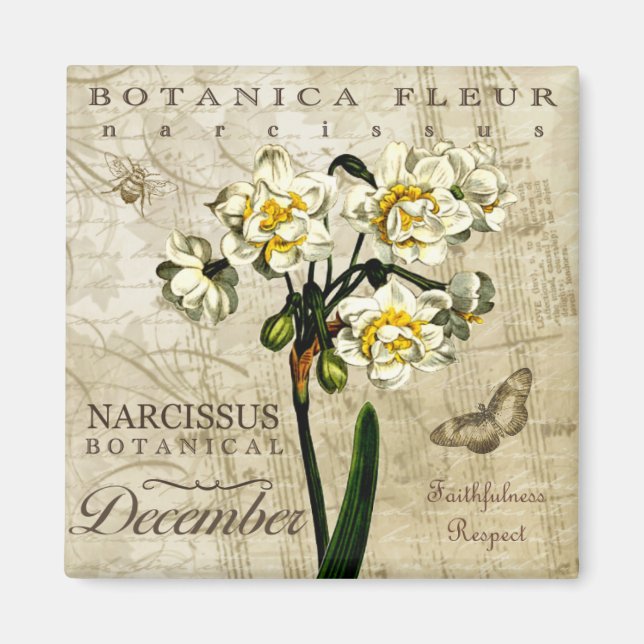 Botanica december magnet (Framsidan)