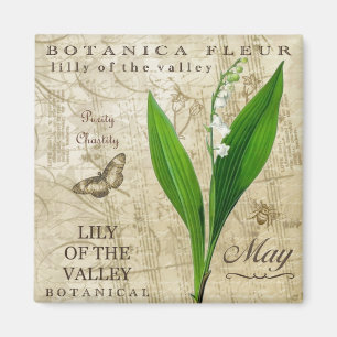 Botanica majmagnet magnet