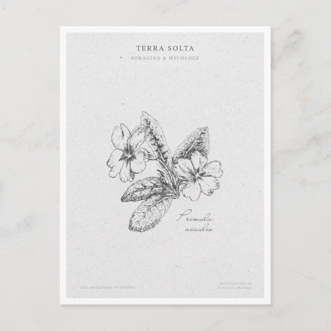 Botanical Illustration 2 'The Awakening of Spring' Vykort (Framsida)