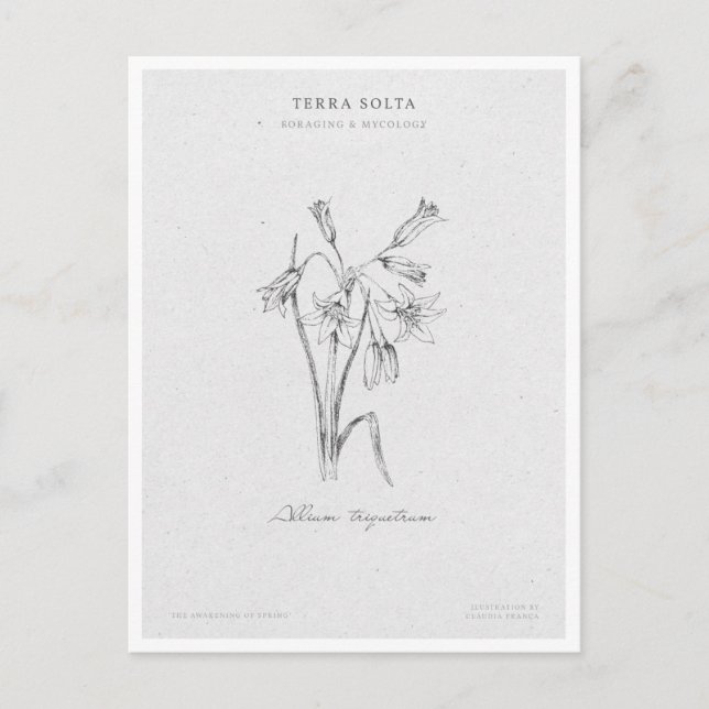Botanical Illustration 4 'The Awakening of Spring' Vykort (Framsida)