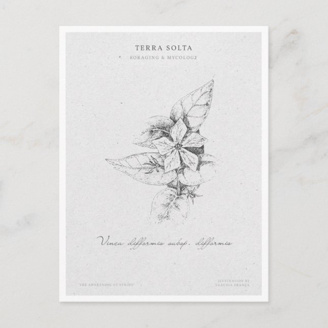 Botanical Illustration 5 'The Awakening of Spring' Vykort (Framsida)