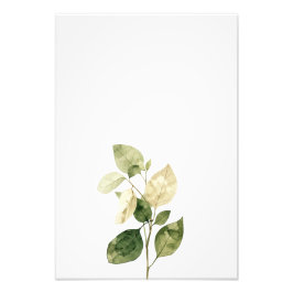 Botanical Leaf Watercolor Art Print-Ficus Fototryck