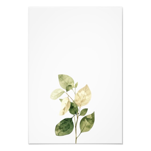 Botanical Leaf Watercolor Art Print-Ficus Fototryck (Framsidan)