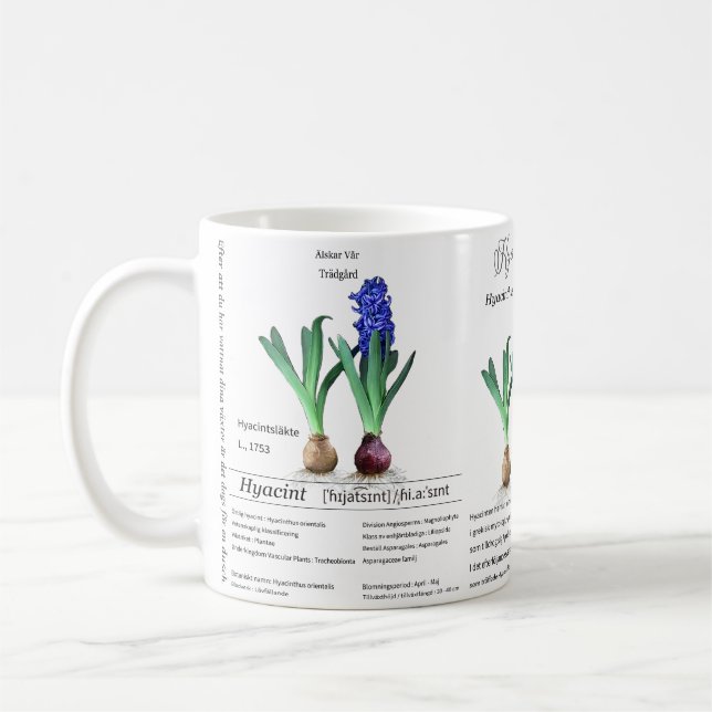 Botanical mug Hyacinth in my garden.  Kaffemugg (Vänster)