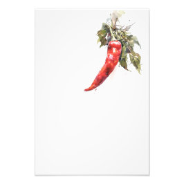 Botanical Red Pepper Watercolor Art Print-Stage3  Fototryck