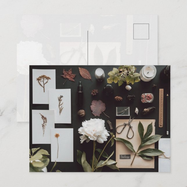 Botanical Science Flat Lay Academia Vykort (Fram/baksida)