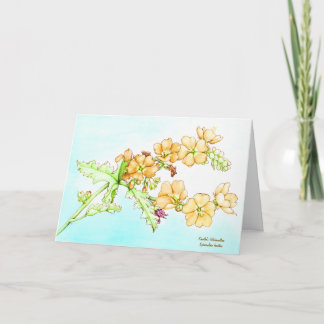 Botanical watercolor wildflower globemallow kort