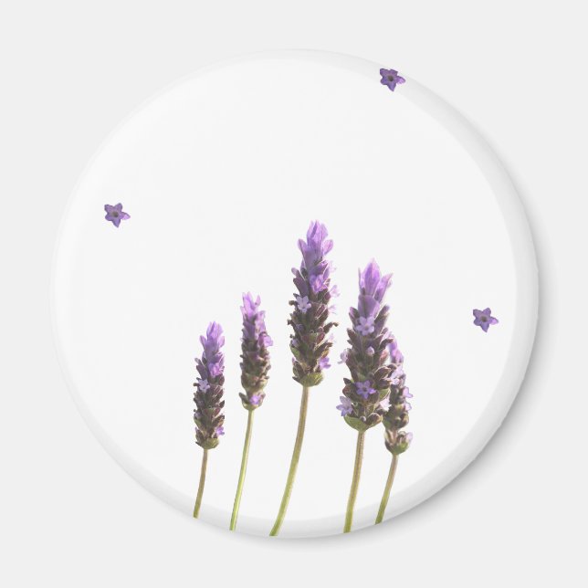 Botanical Wildflower Fridge Magnet (Framsidan)