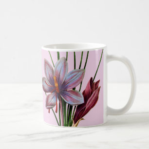 Botanik: Saffran Kaffemugg