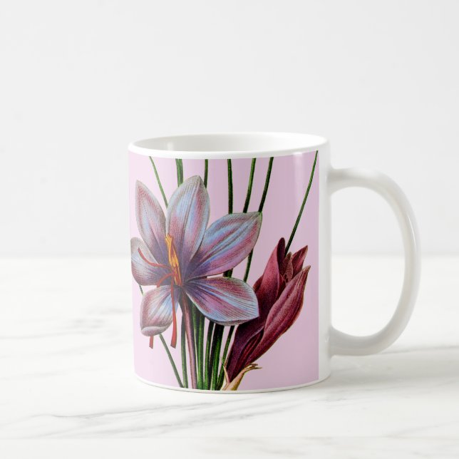 Botanik: Saffran Kaffemugg (Höger)