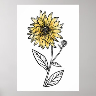 Botanisk akvarell estetisk linjekonst solros poster