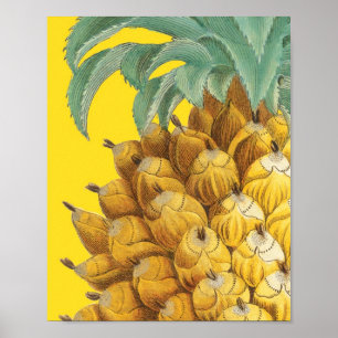 Botanisk ananas i gult poster