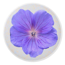 Botanisk blåttpelargonblomma på någon färg knopp