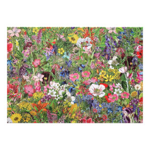 Botanisk blomma av naturen fototryck