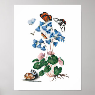 botanisk blommigt poster