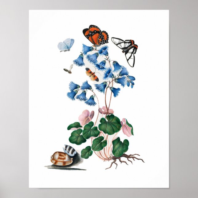 botanisk blommigt poster (Framsidan)
