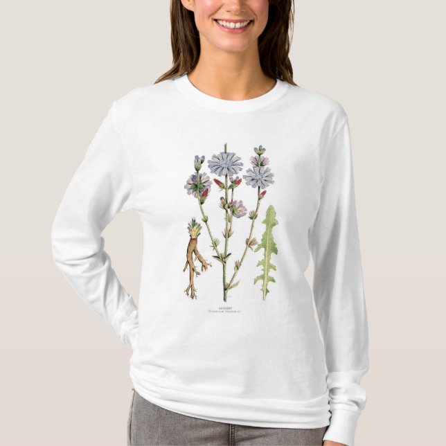 Botanisk Chicoryvintage T-shirt (Framsida)