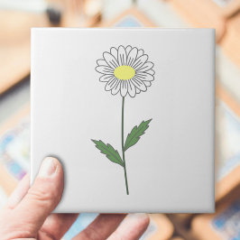 Botanisk Daisy Pastel Flower White Kakelplatta