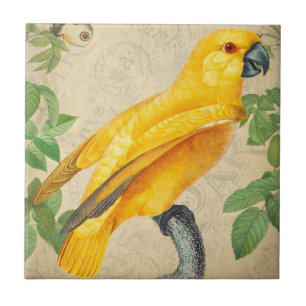 Botanisk exotisk Wildlife-Gult Jungle Parrot Kakelplatta