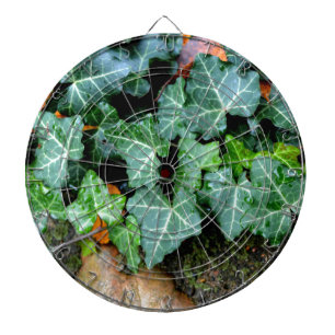 Botanisk grön murgröna och fältsten piltavla