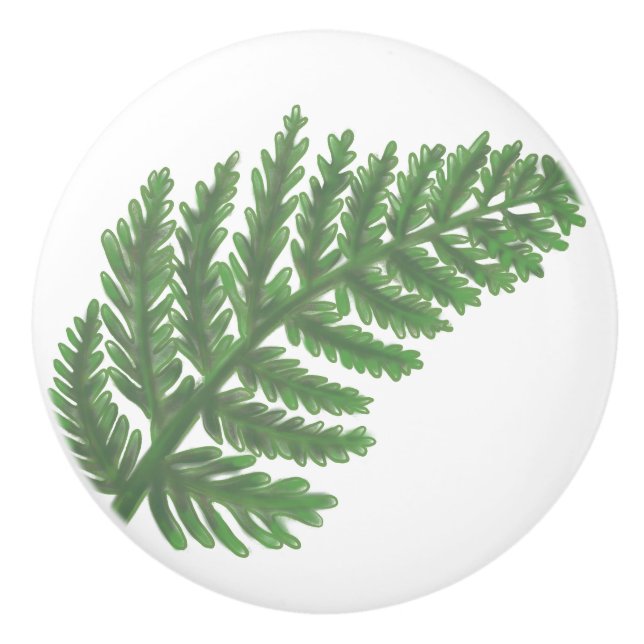 Botanisk grönaktig Grönt Fern Knopp (Framsidan)