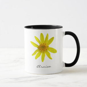 Botanisk gul Arnicablomma med namn Mugg