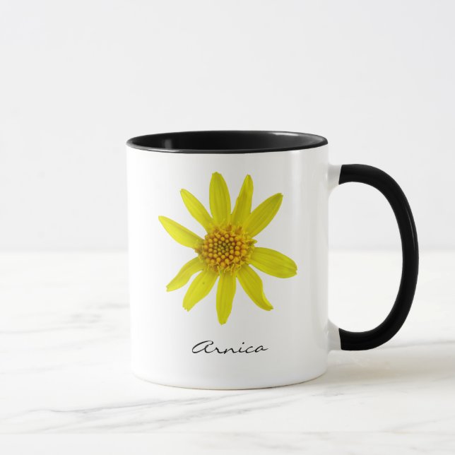 Botanisk gul Arnicablomma med namn Mugg (Höger)