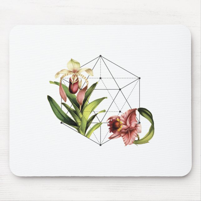 Botanisk helig musmatta (Framsidan)