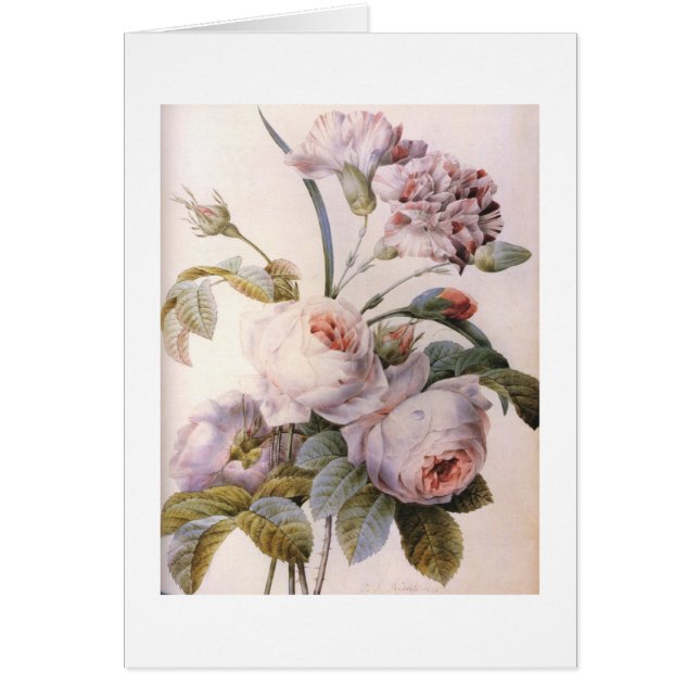 botanisk illustration av vintage, rosa ros hälsningskort (Framsidan)