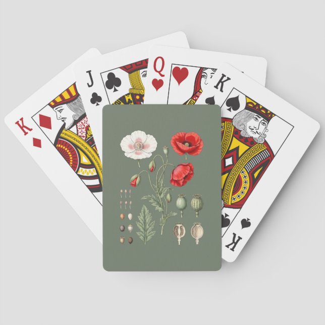 Botanisk illustration blomsterkonst. casinokort (Baksidan)