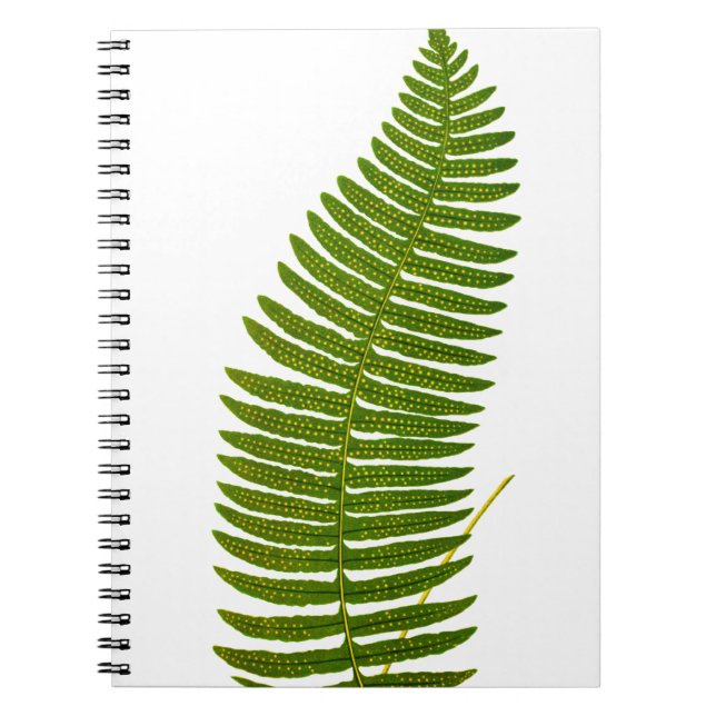 Botanisk illustration för grönt och gult Fernlöv Anteckningsbok Med Spiral (Framsidan)