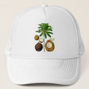 Botanisk illustration för kokosnötträd truckerkeps
