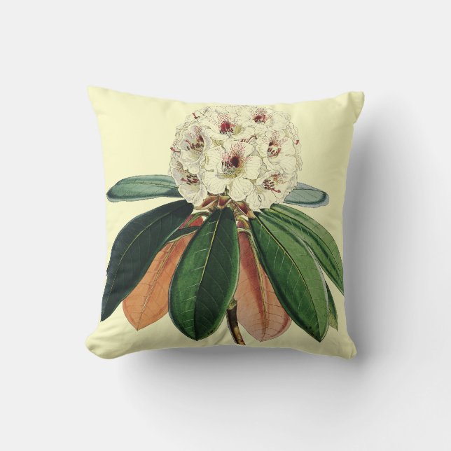 Botanisk illustration för Rhododendronvintage Kudde (Framsida)